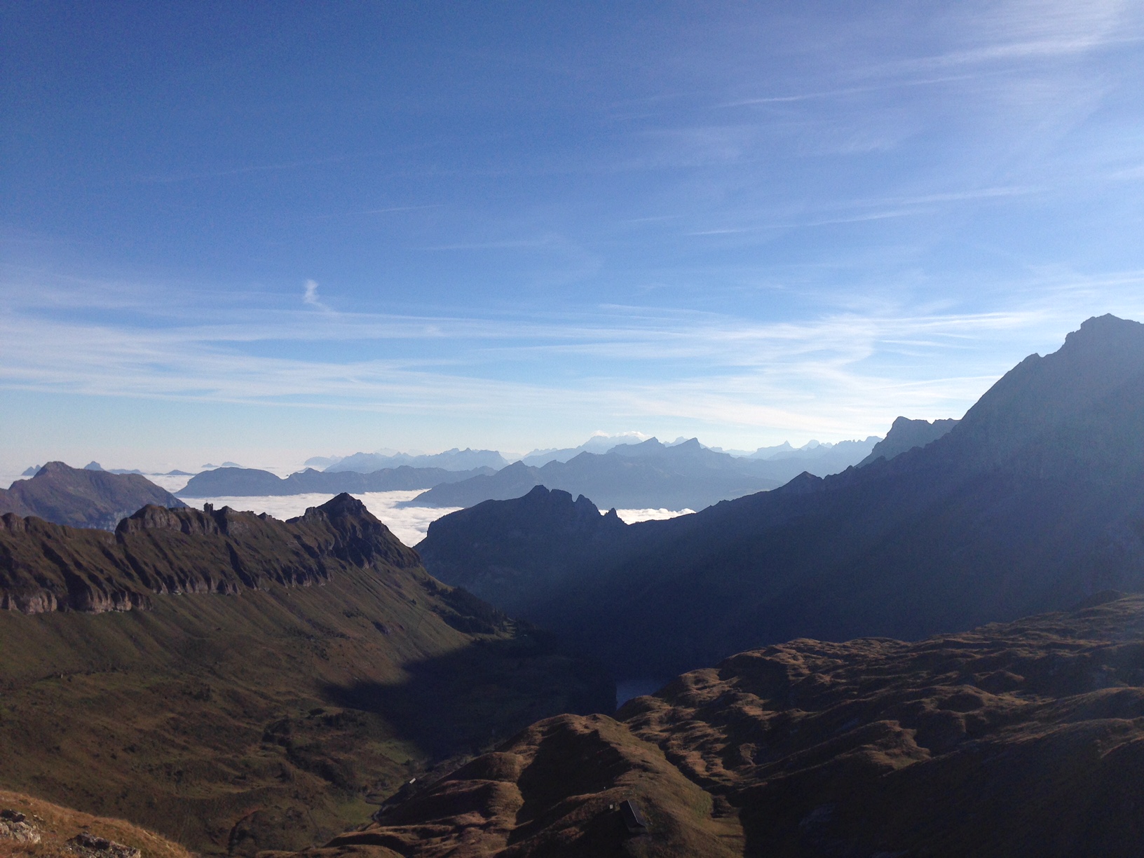 Wer schaut da alles aus dem Hochneel heraus? 