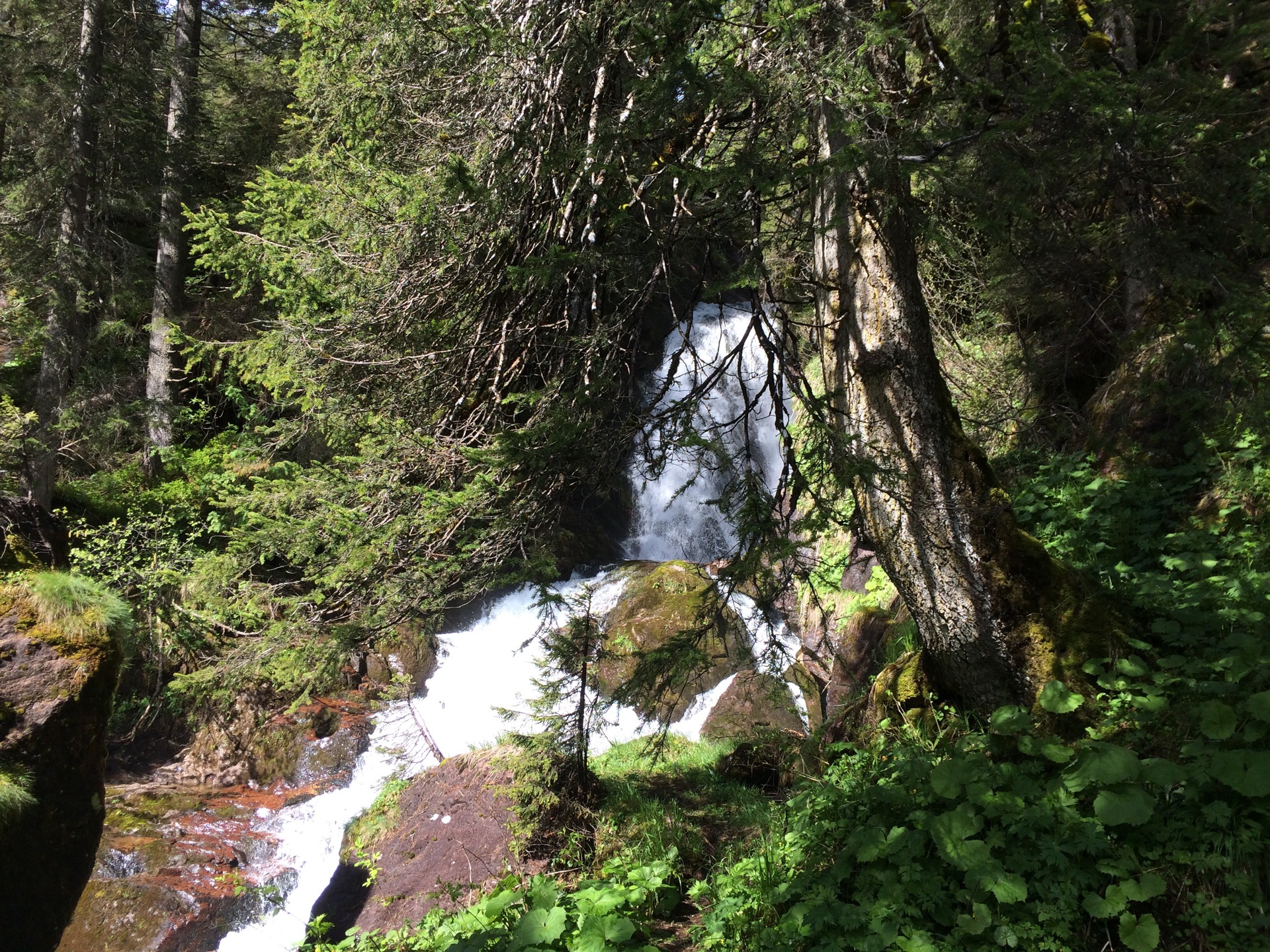 Die Tour beginnt im Urwald mit wilden Wassern