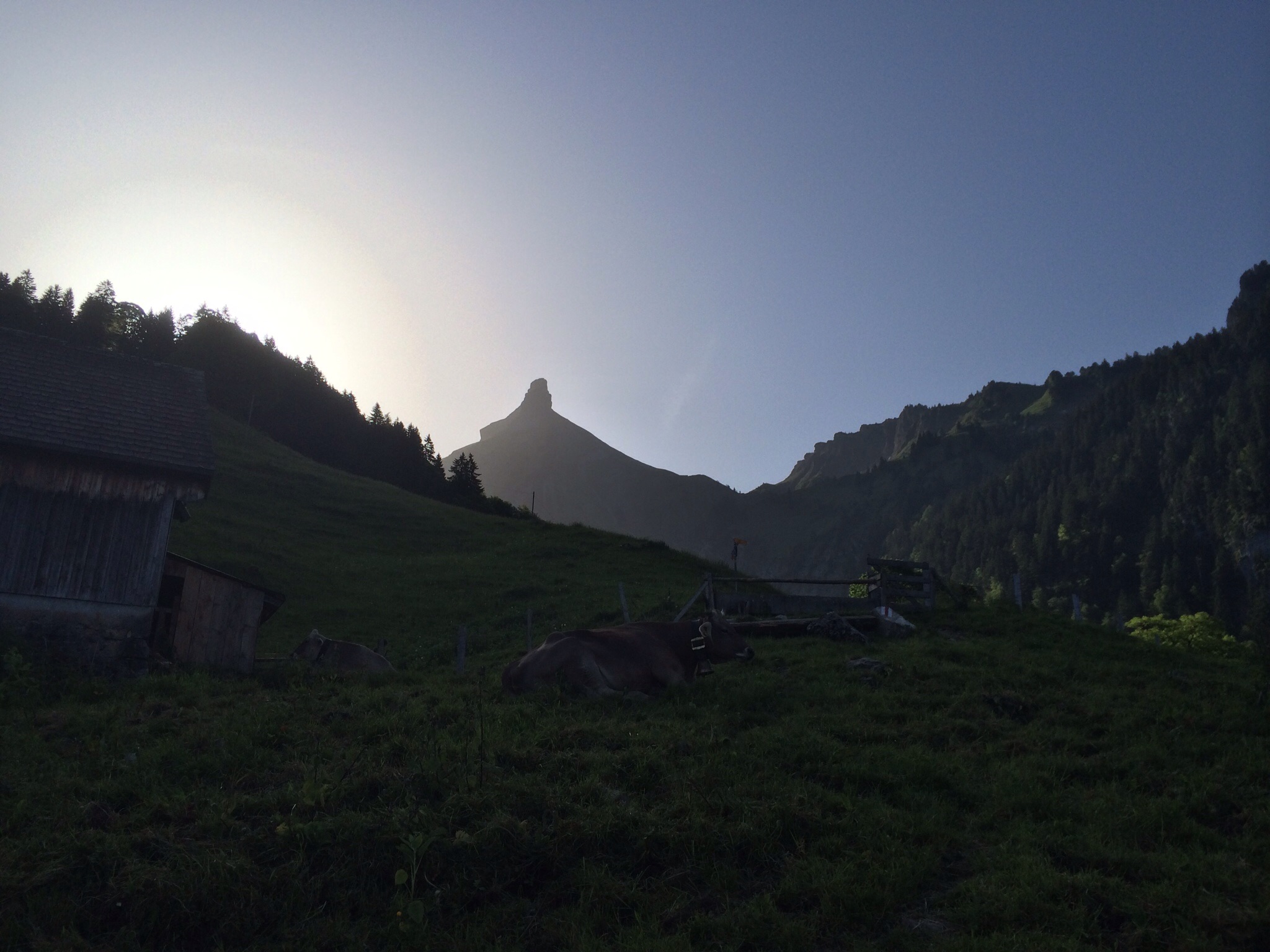 Der Zindlenspitz im Gegenlicht der aufgehenden Sonne