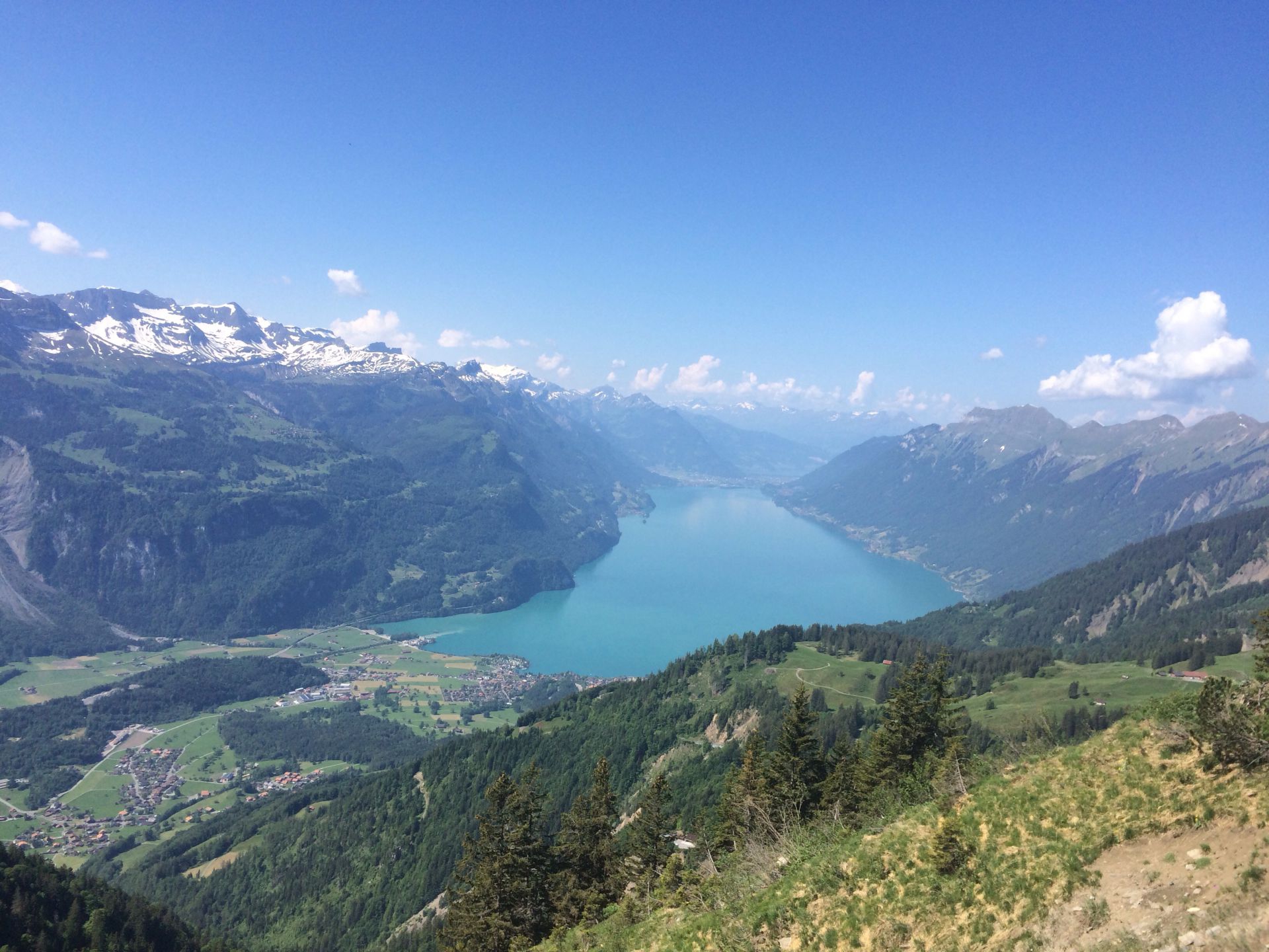 Genussblick über den Brienzersee